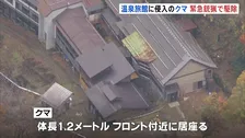 山形・米沢市の温泉旅館に侵入のクマ　緊急銃猟で駆除　経営者家族3人けがなし　被害状況を確認中