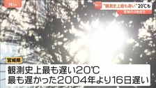 「いつもより暑い」宮城県で市場最も遅い20℃を観測　9月下旬並みまで気温上がる　公園でピクニック楽しむ人の姿も