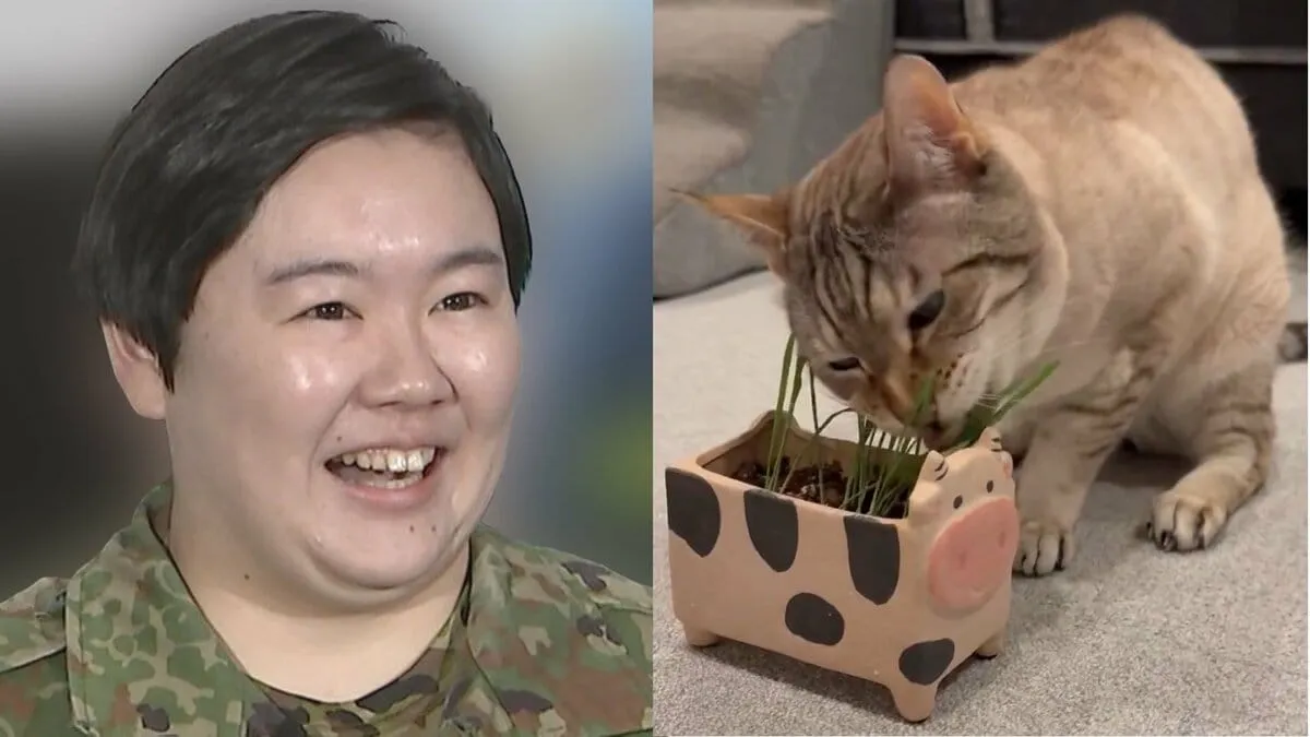 【やす子】愛猫アビシに「手作り猫草」　「食べてる、かわいい」伝わる愛情に「作って良かった！」