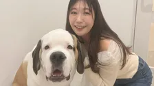 【 穂川果音 】「大きなわんちゃん」大型犬たちと癒やしのひととき フォロワー “犬の方が癒されてる”