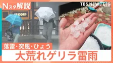「落雷・突風・ひょう」大気不安定で各地でゲリラ雷雨に…天気が急変する予兆は？【Nスタ解説】