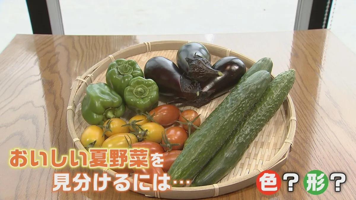 プロ直伝！旬の夏野菜“新鮮でおいしい”の見分け方　ナスは「トゲトゲ」ピーマンは「へたがピン」トウモロコシは「ヒゲ」