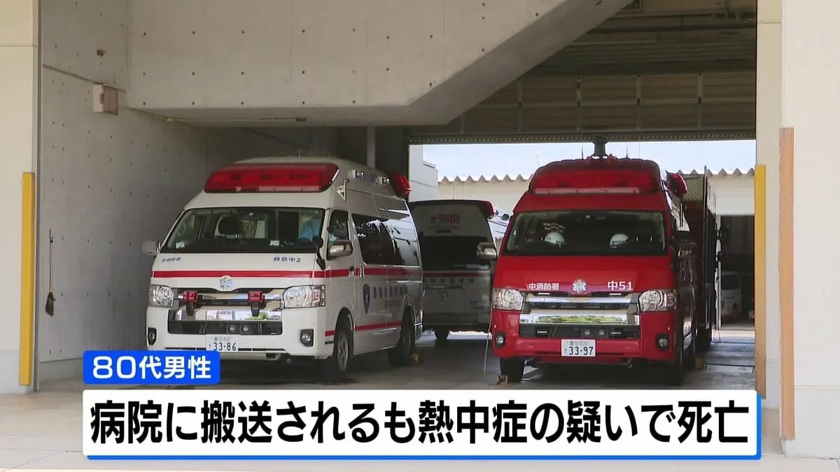 80代男性が熱中症の疑いで死亡 愛知県豊田市 きのうの最高気温は32度