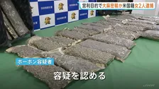 乾燥大麻約30キロを営利目的で密輸か アメリカ国籍の女2人を逮捕 「航空券代や宿泊費が無料だと聞き魅力を感じた」　羽田税関の職員が発見　警視庁