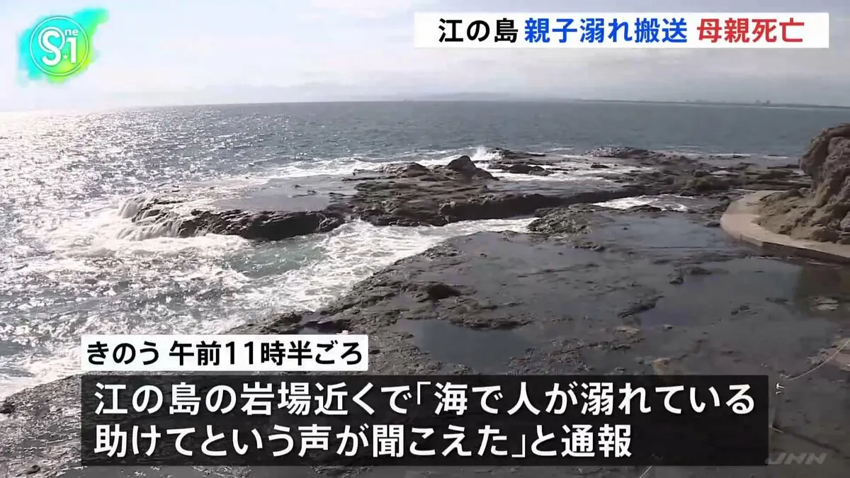 「海で人が溺れている。助けてという声が聞こえた」小学生の男の子と母親溺れる　母親が死亡　神奈川・江の島