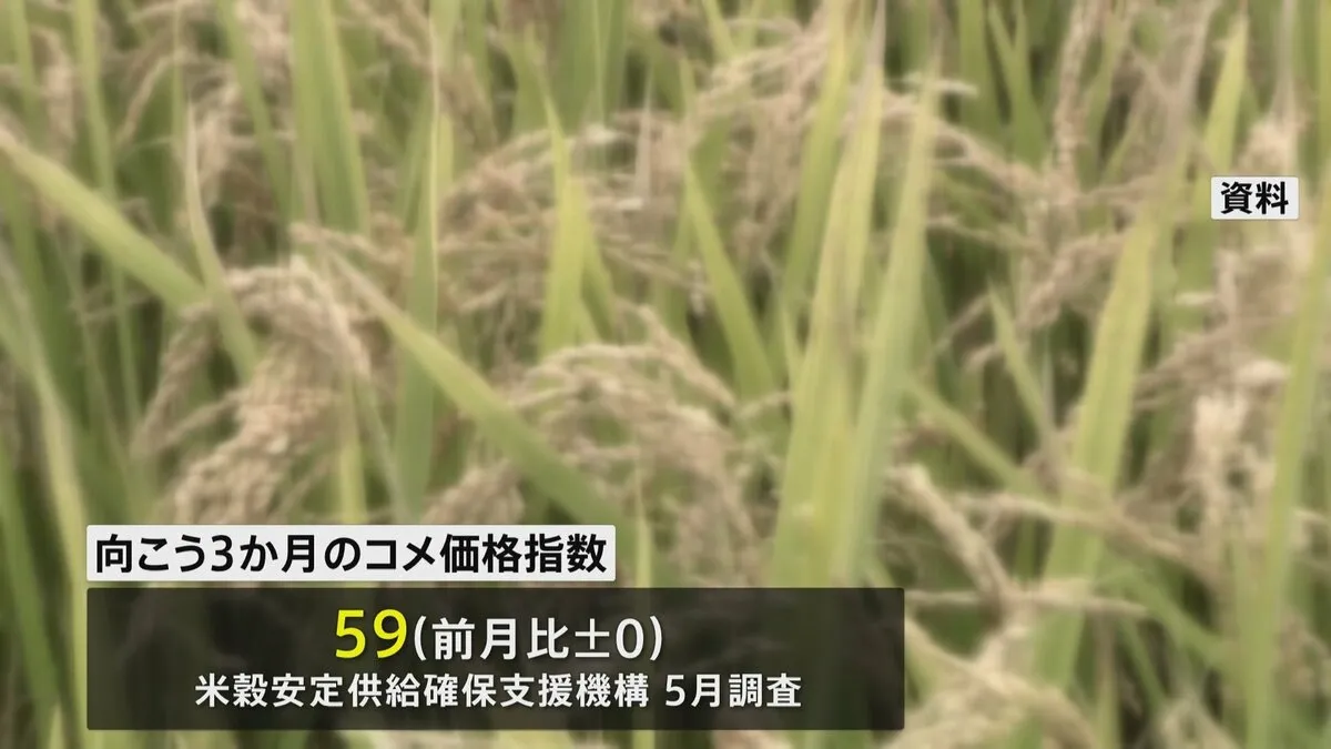 コメの「向こう3か月」価格見通し 「この先も高いまま」との見方強く　先月の調査結果