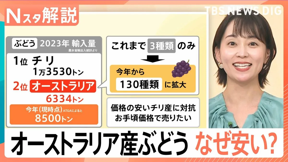 「450円」なぜ安い？ オーストラリア産ぶどう、現地“ぶどう協会”を取材…オススメは黒と赤【Nスタ解説】