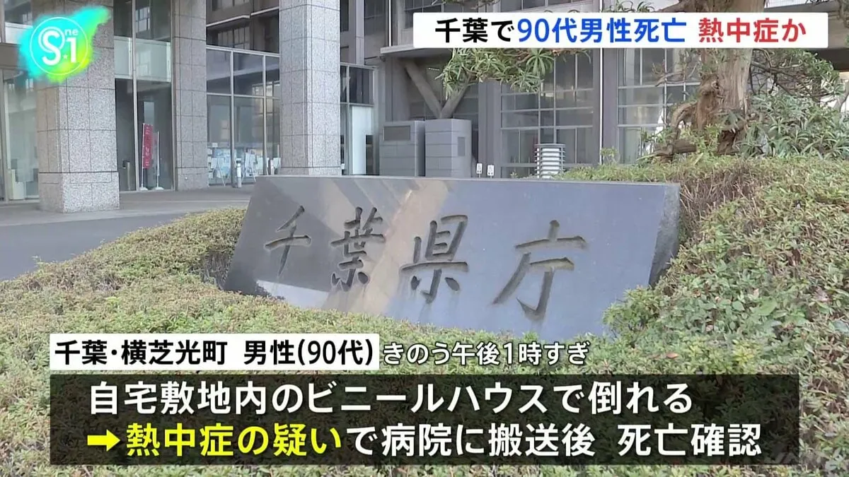 千葉で90代男性が死亡 熱中症か ビニールハウスで倒れているのがみつかる