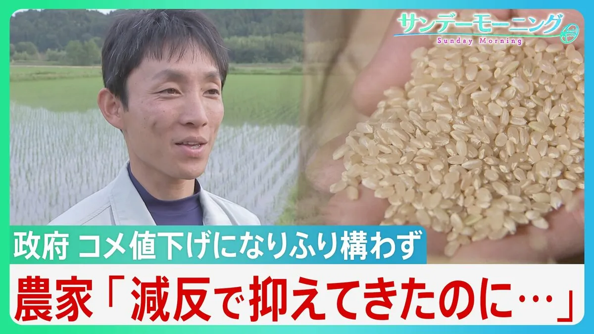小泉大臣の備蓄米“じゃぶじゃぶ”放出策 消費者は歓迎も卸売ではすでに余波　農家からも嘆きの声【サンデーモーニング】