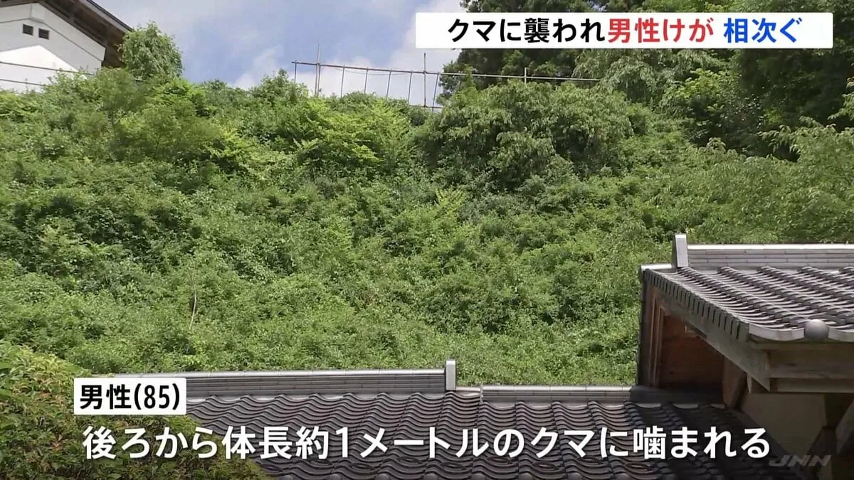 栃木・那須塩原市でクマ被害相次ぐ 庭の手入れ中の男性(85)が後ろからかまれ軽傷 別の男性(77)も襲われる