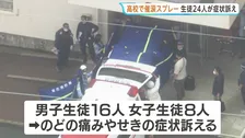 「催涙スプレーをまかれた」生徒24人がのどの痛みなど訴え、男女7人搬送も軽症 大阪・堺市の高校