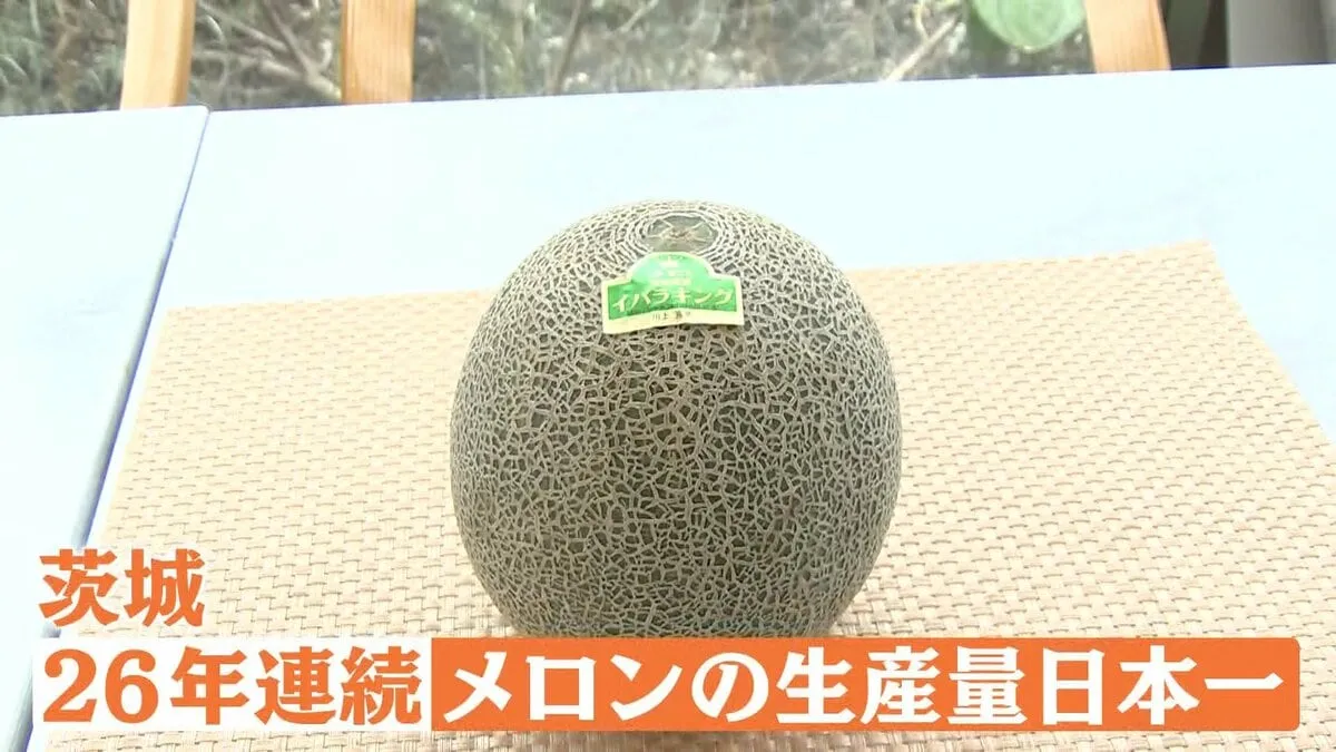 山形といえば「さくらんぼ」茨城といえば…？実は「メロン」生産量日本一　名産品の認知度アップへPR