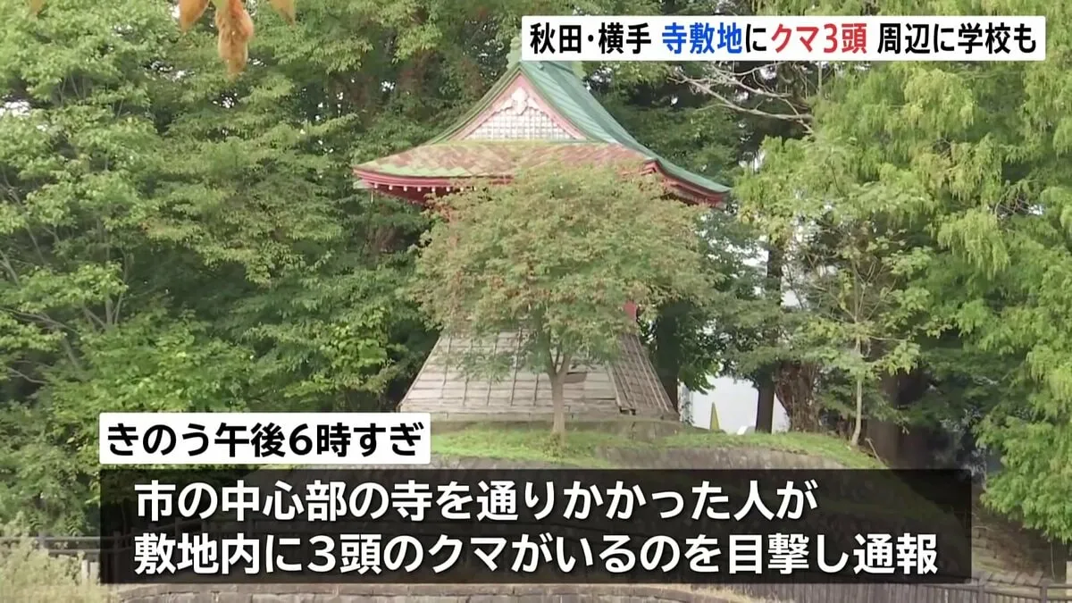 秋田・横手市 きのう（21日）寺の敷地内でクマ3頭目撃 周辺には小学校・保育園 警察・市が警戒にあたる