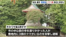 秋田・横手市 きのう(21日)寺の敷地内でクマ3頭目撃 周辺には小学校・保育園 警察・市が警戒にあたる