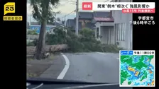“逆走台風”15号 茨城県に初上陸 各地で倒木相次ぐ お盆期間中の空の便にも影響【news23】
