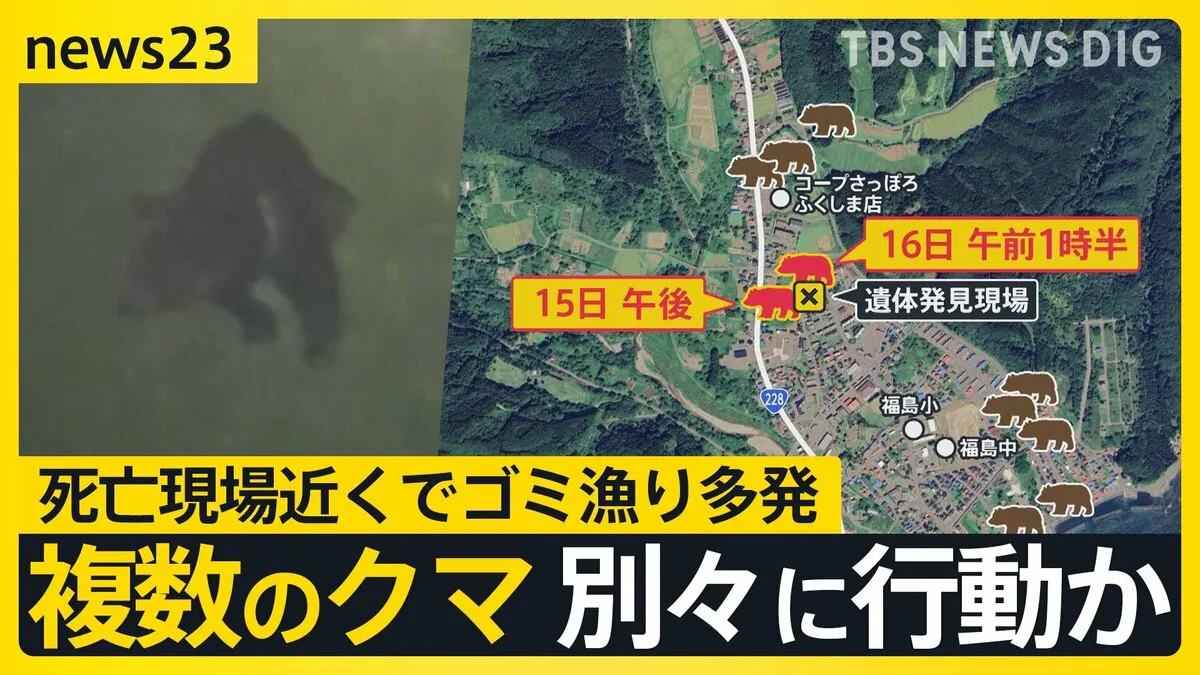 クマ出没でプロゴルフツアー中止 北海道では連日クマのごみ漁り続く 行方不明のハンターは“滑落”の可能性も【news23】
