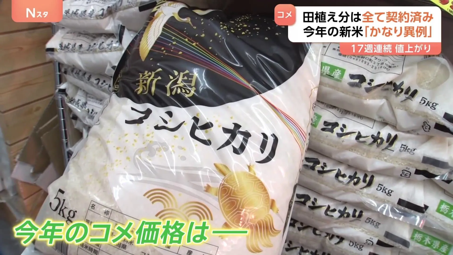東大特任教授が指摘「価格が下がる見込みが薄いと言わざるを得ない」 コメの価格の高騰 「新米」には期待できない 価格影響は限定的か
