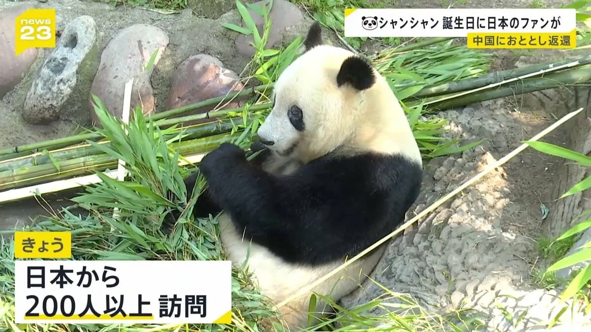 シャンシャンの8歳の誕生日　中国・四川省に日本人が行列！ファンが駆けつけ祝福