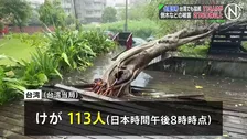 台風9号の影響　台湾で113人けが、倒木や建物損壊などの被害報告2150件以上