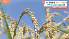 【速報】コメ価格が「半年ぶりに4000円割れ」5週連続下落　民間の在庫だぶつき顕著　農林水産省