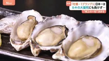 日本一美味しいカキを決める「全国牡蠣－1グランプリ2026」 王者の座は誰が！？海水温上昇による大量死も…歴史的苦境に挑む生産者に密着！
