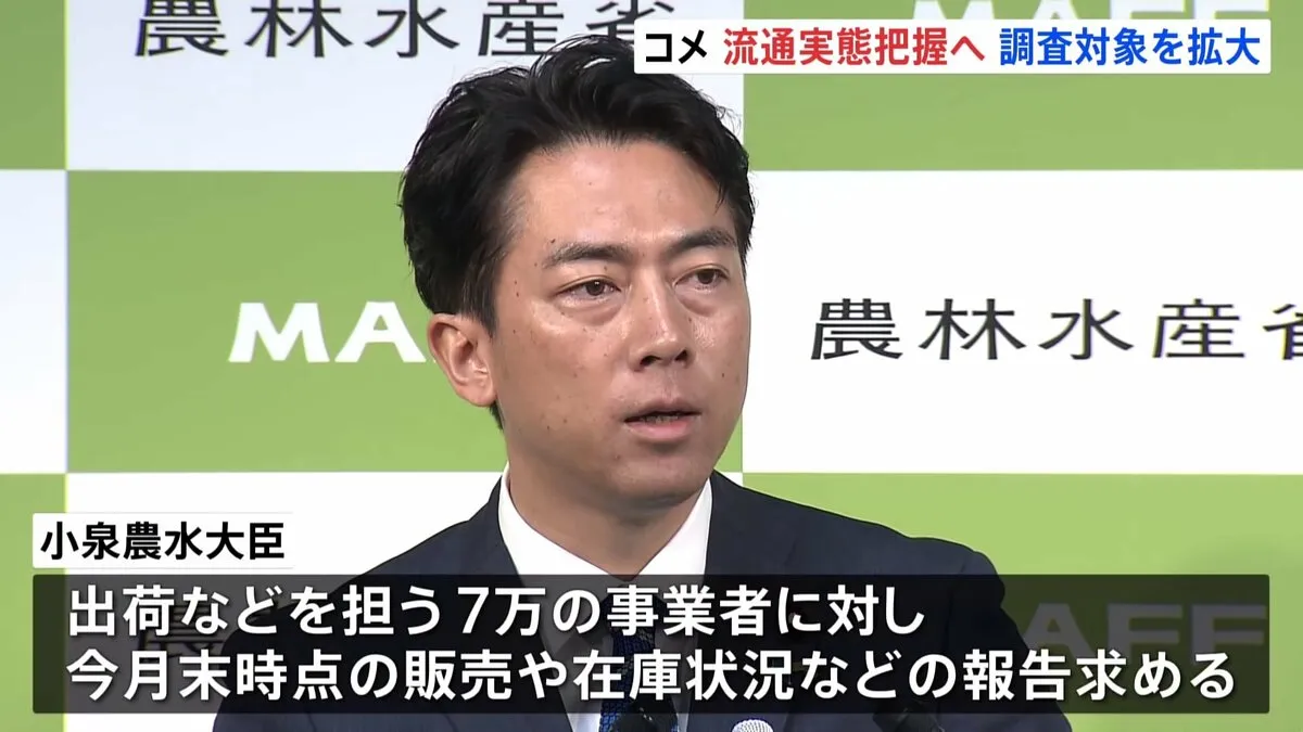 コメの流通実態を把握へ　小泉農水大臣、今月末時点の販売・在庫状況などの報告求める考え　調査対象を拡大
