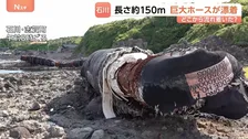 一体どこから？海岸に約150mの“巨大ホース”が漂着　重さ約300トンと推定　中国製と判明も所有者などは分からず…