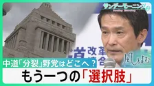 中道「分裂」野党はどこへ？自民に対抗する”核となる野党”不在に・・　もうひとつの「選択肢」としての野党【サンデーモーニング】