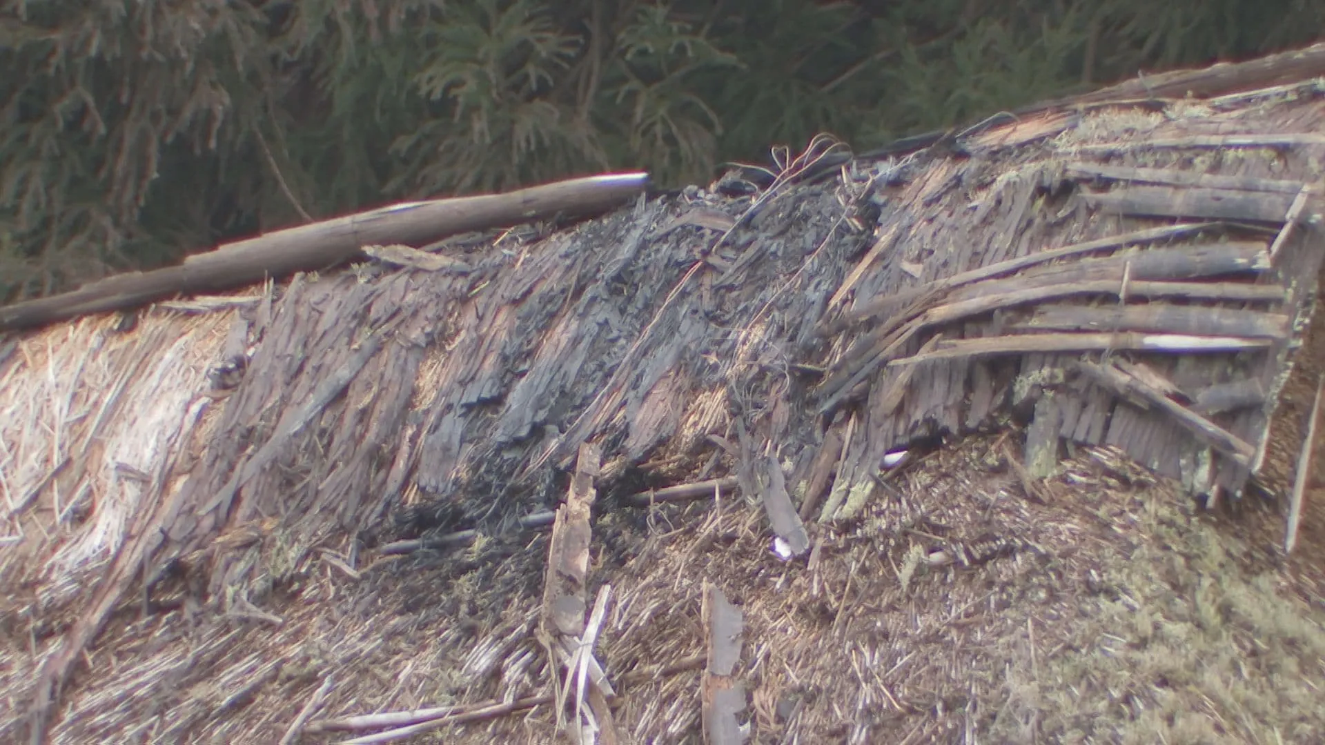 下草火災が近くの国指定の重要文化財「荒井家住宅」屋根に燃え移る　栃木・矢板市