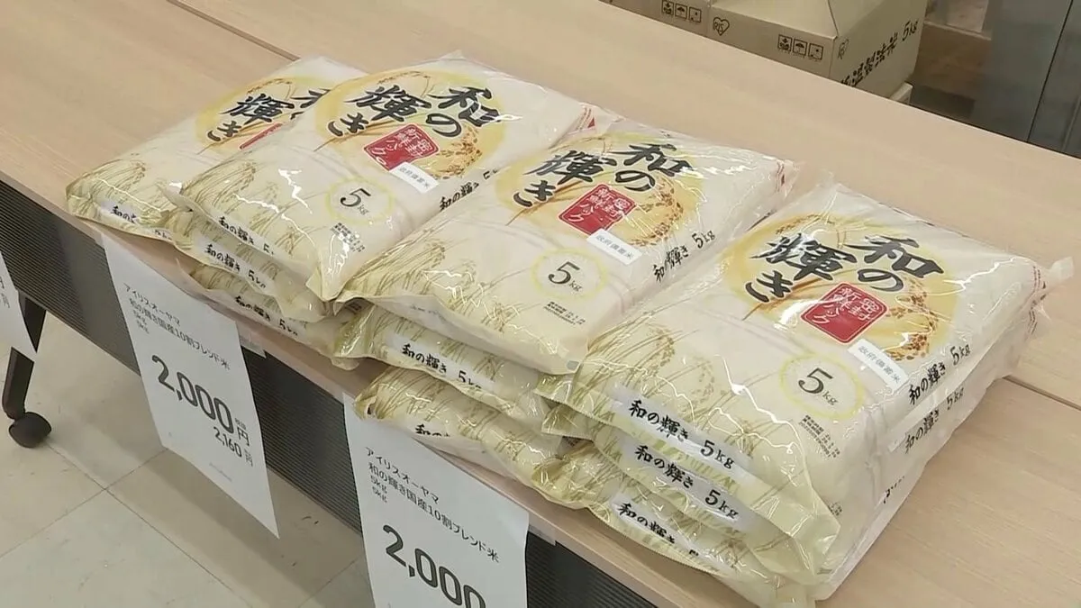 備蓄米“夜通し並び”や販売開始前に“売り切れ”も… 「随意契約」分、アイリス傘下やイトーヨーカドーで販売開始