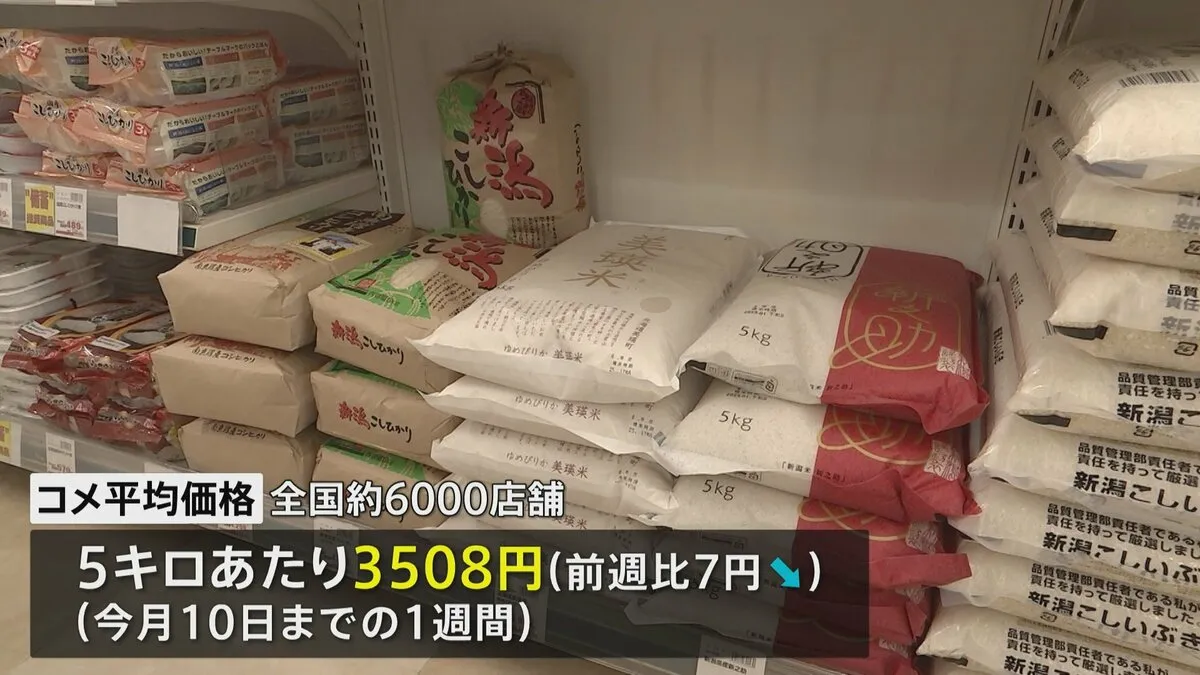 全国のスーパーなどで販売されたコメの平均価格3508円　前の週からほぼ「横ばい」