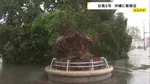 【台風6号最接近】最大瞬間風速40.6m 沖縄・うるま市で6月観測史上最大に　県内で少なくとも6人けが　各地で街路樹倒れる
