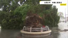 【台風6号最接近】最大瞬間風速40.6m 沖縄・うるま市で6月観測史上最大に　県内で少なくとも6人けが　各地で街路樹倒れる