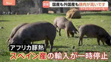 家計の味方だったのに…豚肉が高い！「1キロで300円上がった」スペイン産輸入停止で値上がり　サイゼリアの「生ハム」は販売休止に