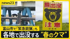 GWも警戒を！各地で出没する“春のクマ” …約1.5m・86kgの個体「緊急銃猟」も　京都や日光などの観光地では「クマ対策」迫られる【news23】