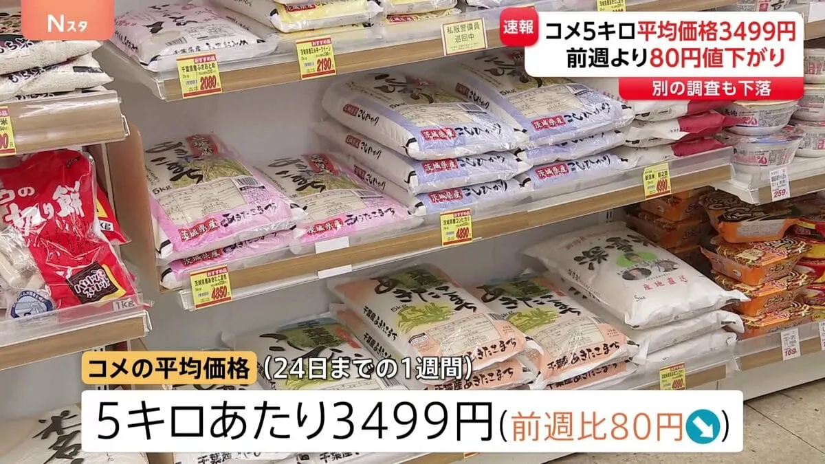 コメ最新平均価格3499円 前週より80円下落