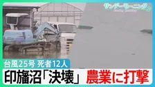 台風25号　千葉・神奈川で死者12人行方不明3人　一時4万軒以上で停電　想定超える雨で千葉・印旛沼が決壊　相次ぐ被害に「農業やめる決断も…」【サンデーモーニング】