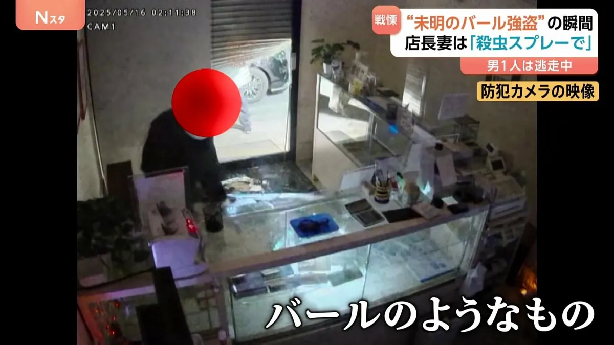 “未明のバール強盗”　店長らと鉢合わせた瞬間が防犯カメラに　妻は「殺虫スプレーで」1人は逃走中　埼玉・熊谷の貴金属買い取り店