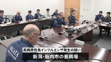 新潟・胎内市の養鶏場で鳥インフルエンザ発生の疑い　簡易検査で陽性