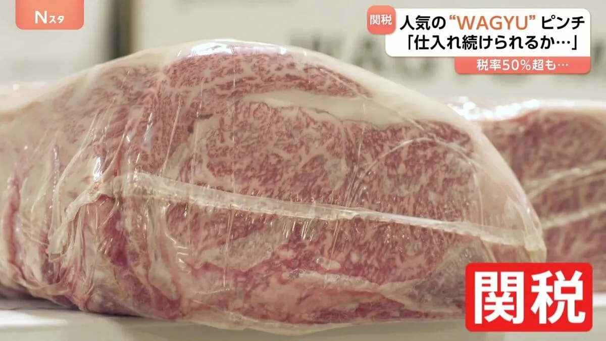 アメリカで人気の「WAGYU」トランプ関税でピンチ「このまま仕入れ続けられるか…」 税率50%超も