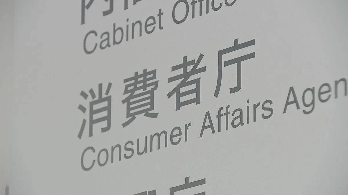 【速報】SNS関連の消費生活相談は約8.6万件で過去最多　認知症など判断力低下した高齢者のトラブル相談も過去10年で最多　2025年版「消費者白書」