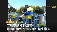 パンチくんの猿山に着ぐるみを着た男性が柵を乗り越え侵入　2人を警察に引き渡す　自称アメリカ国籍と話す　千葉・市川市