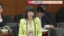 消費税減税法案「誰にいくら恩恵があるのか不透明」野党側が追及　委員会で片山大臣への質疑開始　野党の対案に“歩み寄り”の余地を検討