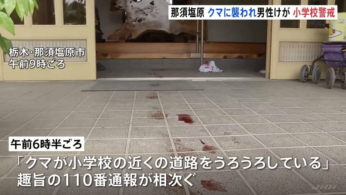 【速報】「小学校の近くにクマ」通報相次ぐ　70代男性がクマに噛まれ後頭部をけが　栃木・那須塩原市