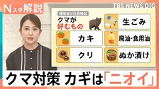 クマの嗅覚は人の5000倍?好むニオイは生ごみ、柿…だけじゃない 灯油やガソリンにも注意【Nスタ解説】