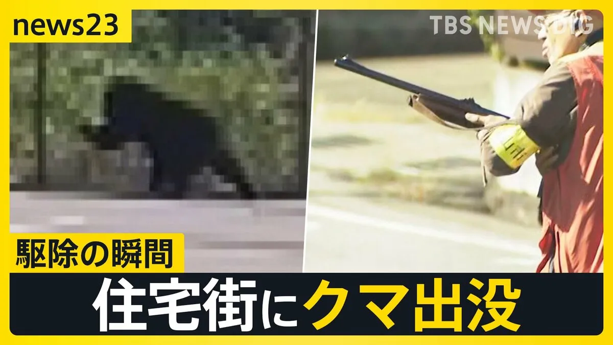 「一直線に突進するように、まさかここまで」盛岡の官庁街にクマ出没で騒然　富山では小学校近くにクマが…駆除の瞬間【news23】