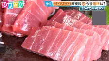 「クロマグロ」漁獲枠25％増で合意　今後価格はどうなる？【ひるおび】