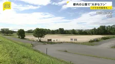 都内の公園で「大きなフン」 野生動物の専門家「クマの可能性も捨てきれない」JR立川駅から4キロほど離れた東京・昭島市の公園