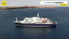 クルーズ船で「ハンタウイルス」感染確認　3人が既に死亡、1人が集中治療　げっ歯類の一部が保有…まれに“ヒトからヒトへ”感染の可能性