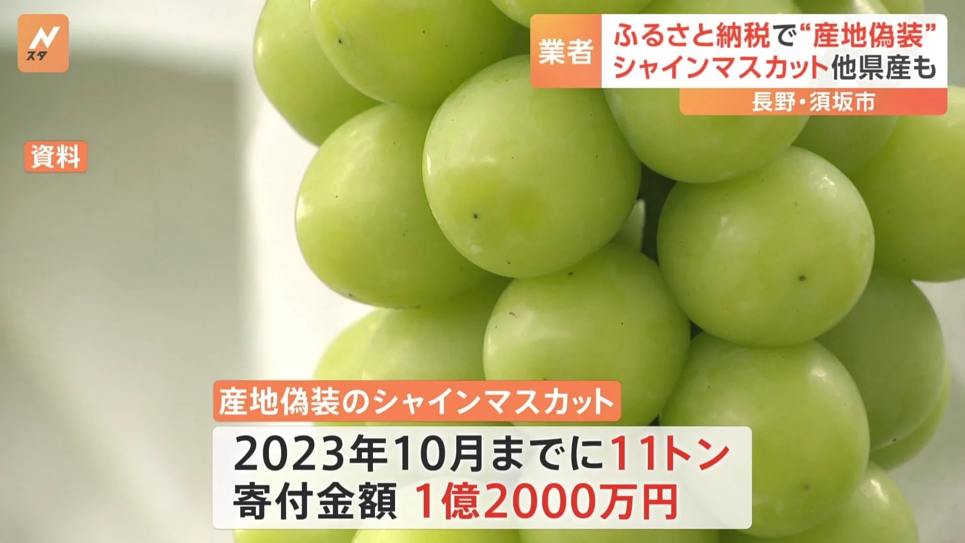 ふるさと納税のシャインマスカット11トン以上産地偽装　長野県須坂市